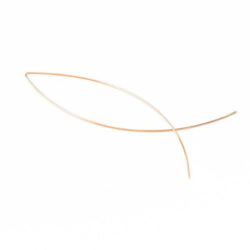 Simplicity Wire Earrings